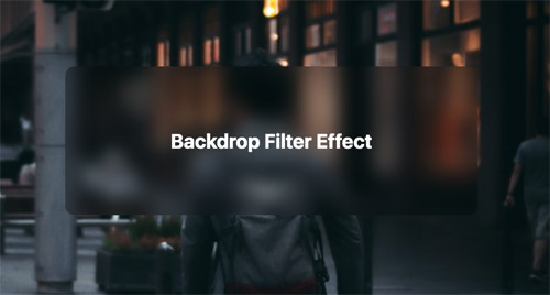 Backdrop filter