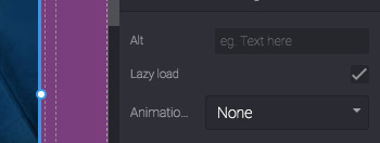 Lazy loading image option